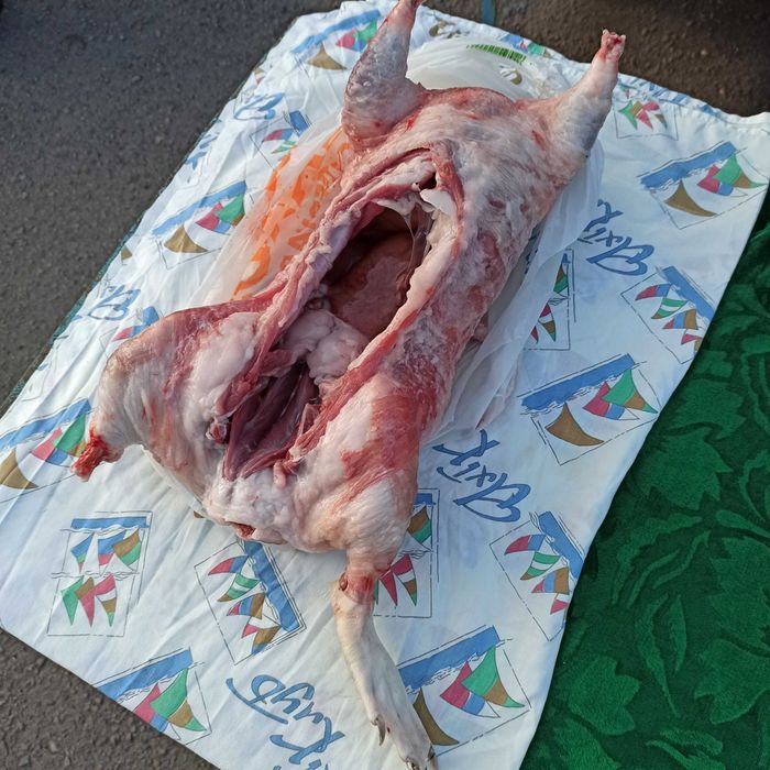 Продам м'ясо нутрії