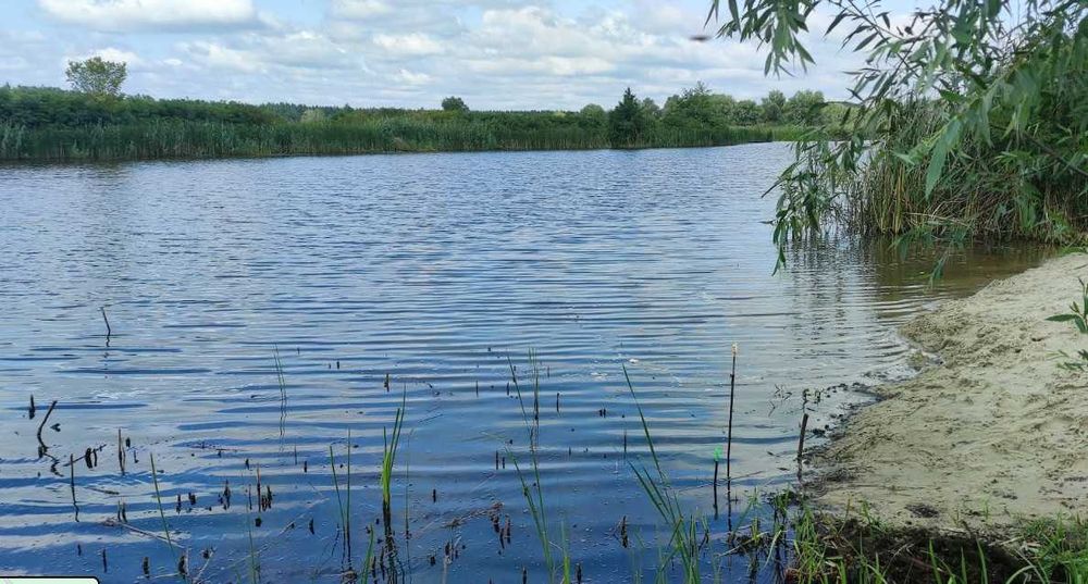 36 соток з виходом на р. Вільшанка біля д/к "Сонячна Поляна"