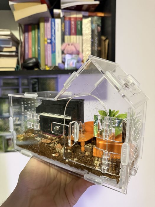 Terrarium 20x15x10 domek z meblami wystrojem dla ptasznika dla lalek