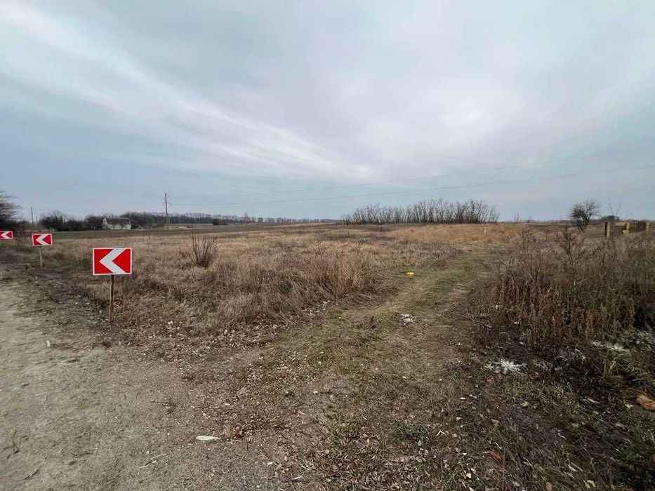 Продаж великої земельної ділянки в с. Софіївка