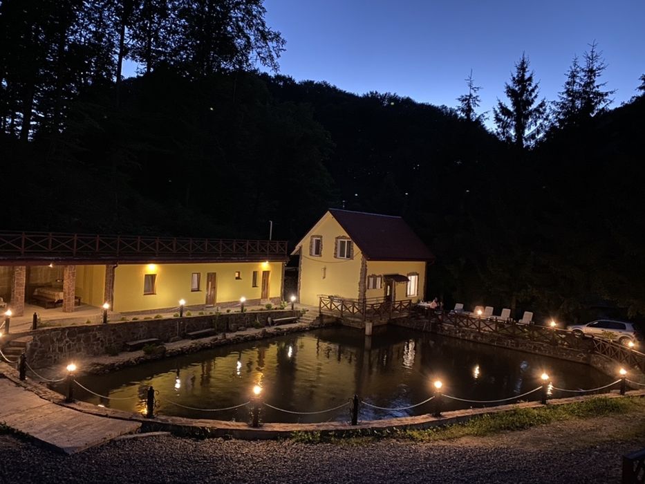 Подобово будинок в с. Шаян Закарпатье Карпати Велятино