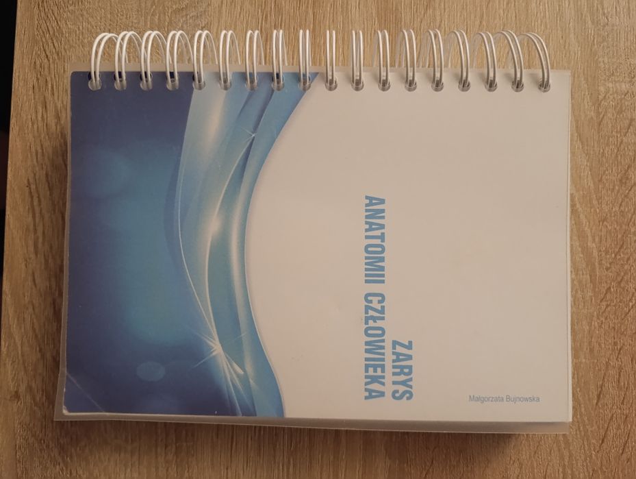 Zarys anatomii człowieka