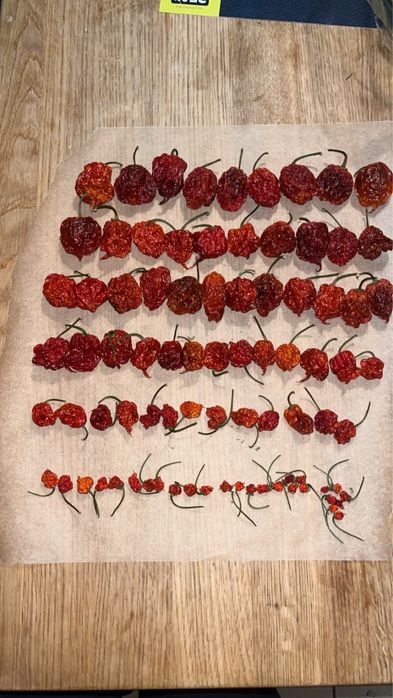 Papryczka carolina reaper (suszona)