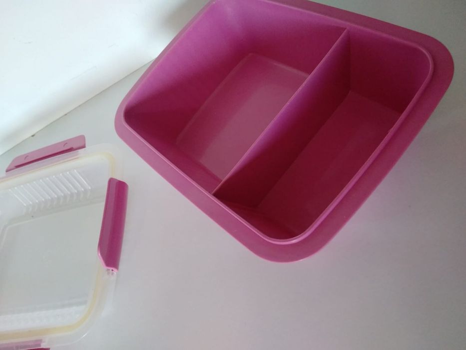 Two-compartment Tupperware lunchbox.441133393480273921