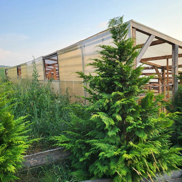 Дом по адресу ул. Капеланська (площадь 1,8 м²) - Atlanta.ua - фото 2