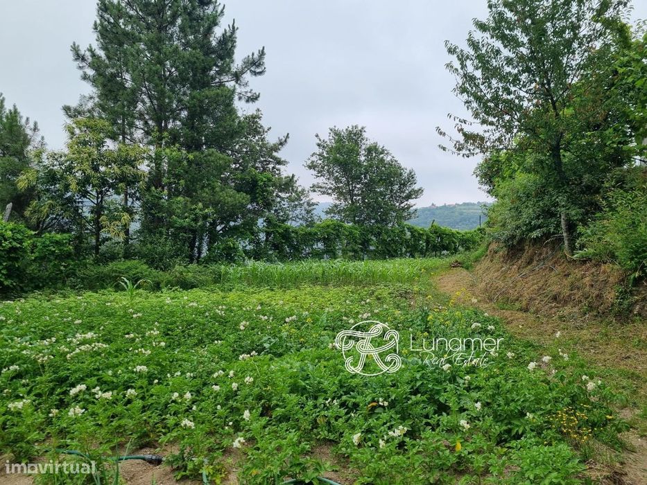 Terreno em Louredo, Vieira do Minho — Louredo, Braga