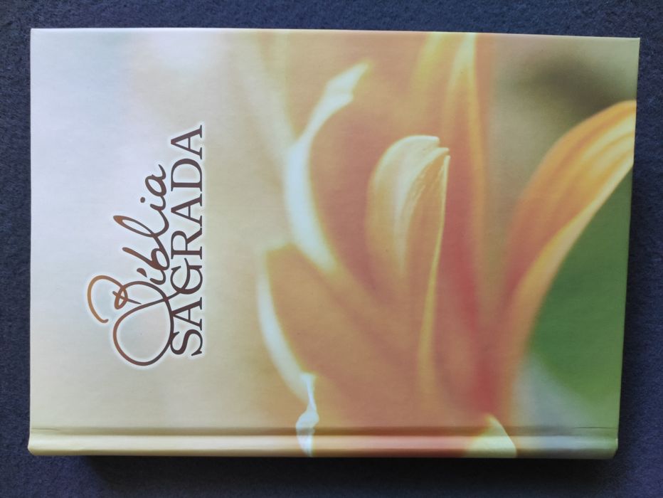 Livros religiosos: bíblias, novo testamento, missa paroquial