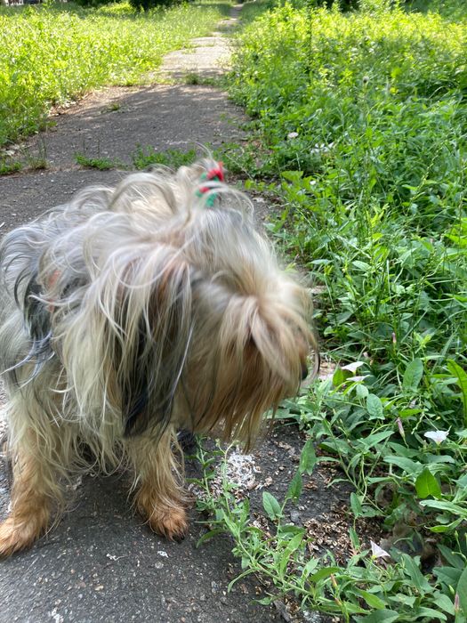 Раздаю очарованных Девочек и Мальчиков очень Красивых и Не Повторимых