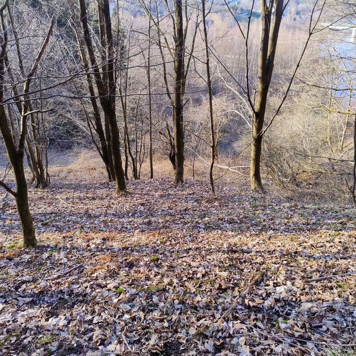 Działka na sprzedaż  Jezioro Mucharskie 30,5 ara