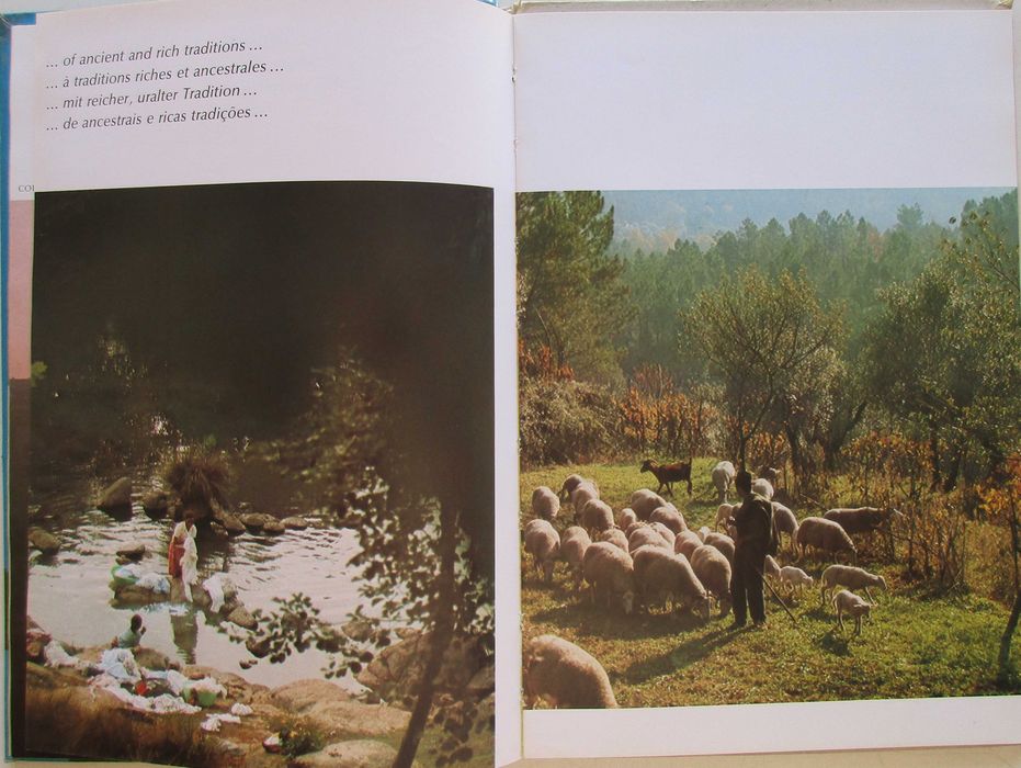 Asta de Almeida d'Eça - - - Portugal - - - - - Livro