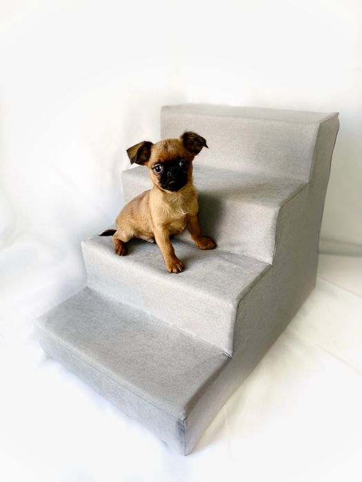 Сходинки в різних кольорах для собак