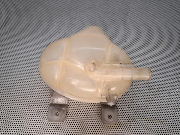 Vaso Expansao / Radiador FIAT Grande Punto (199_)