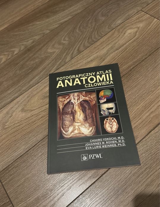 Anatomia Yokochi atlas fotograficzny