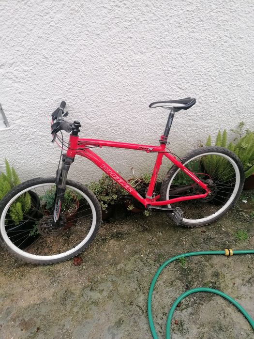 Bicicleta usada comum nova