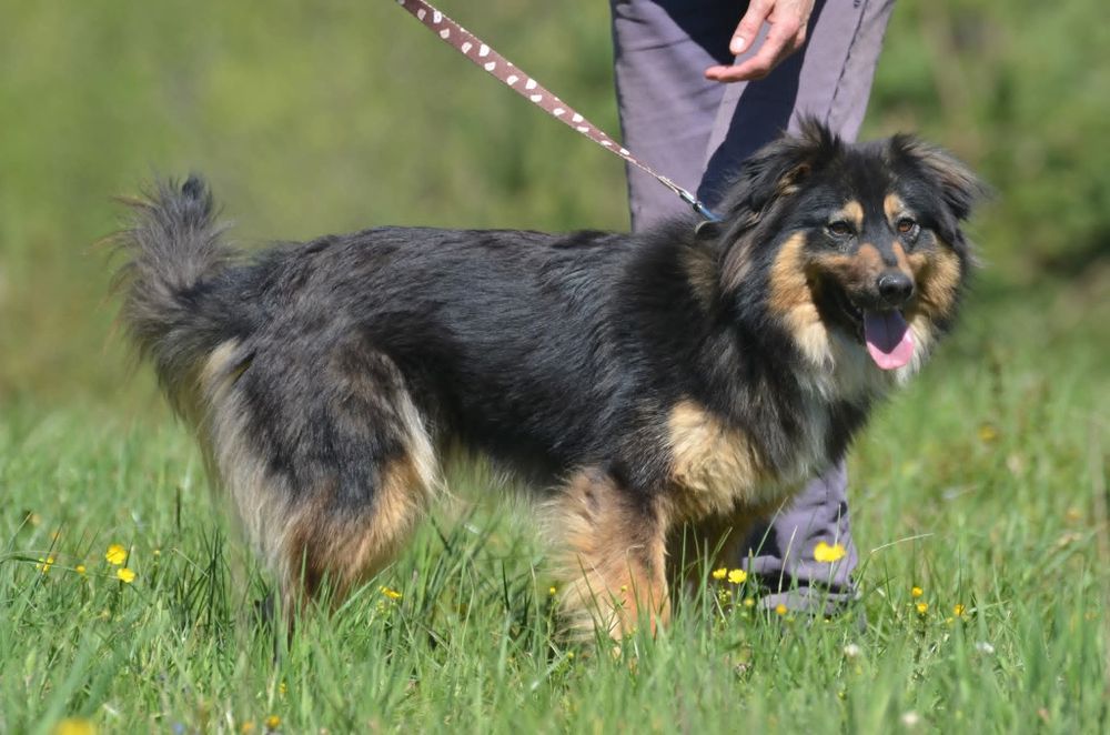 Mati- do adopcji