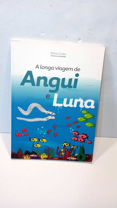 A Longa Viagem de Angui e Luna
