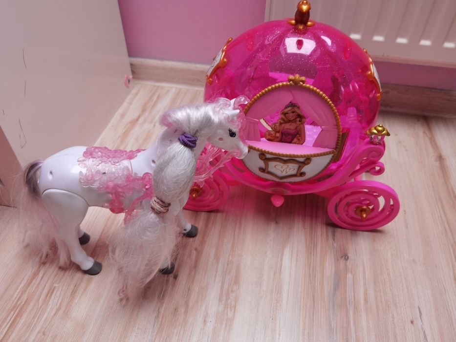 Karoca, kareta z koniem