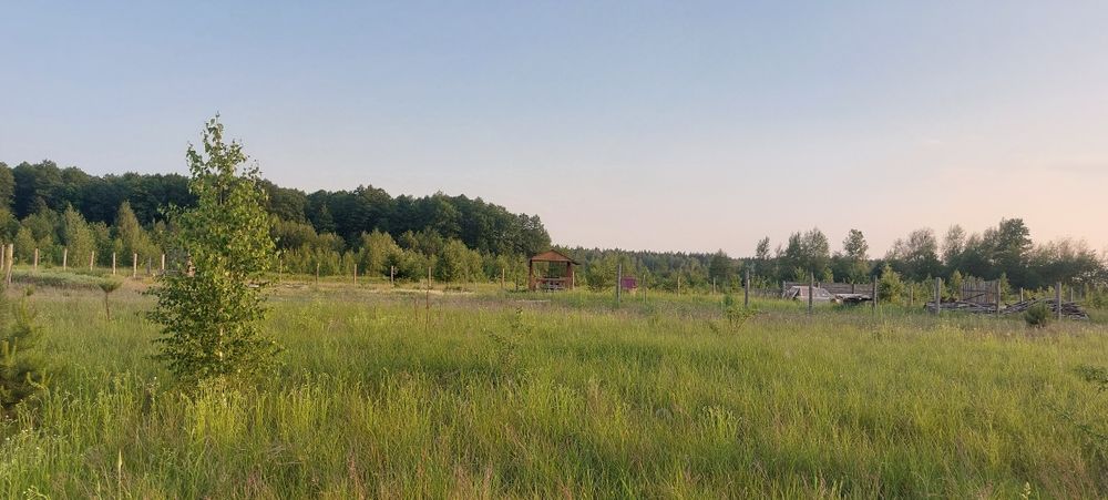 Земельна ділянка