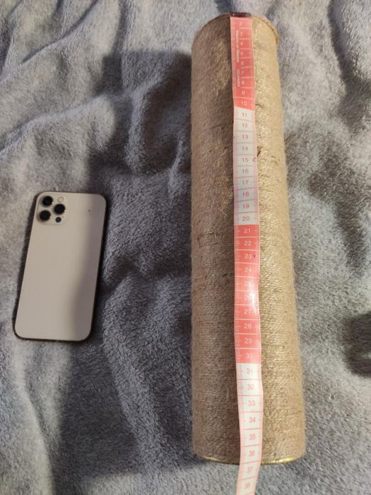 Котяка кігтеточка