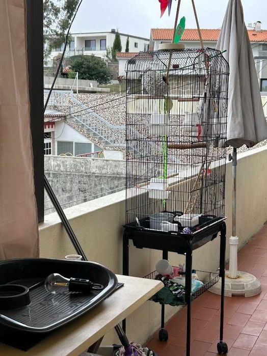 Gaiola para pássaros ou aves exóticas