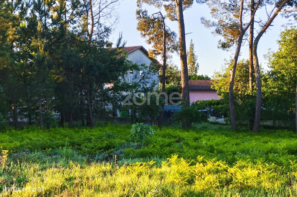 Terreno Urbanizável Vila Chã de Sá