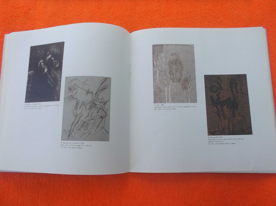 D. Quixote por Júlio Pomar