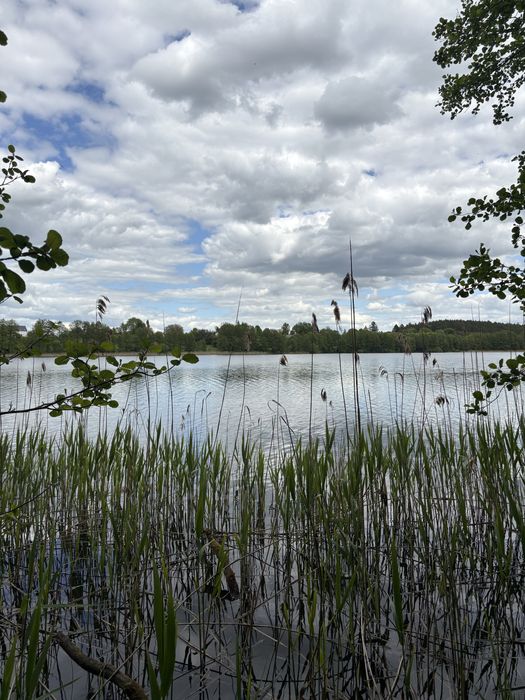 Działka rekreacyjna nad jeziorem z prądem - Widok 3