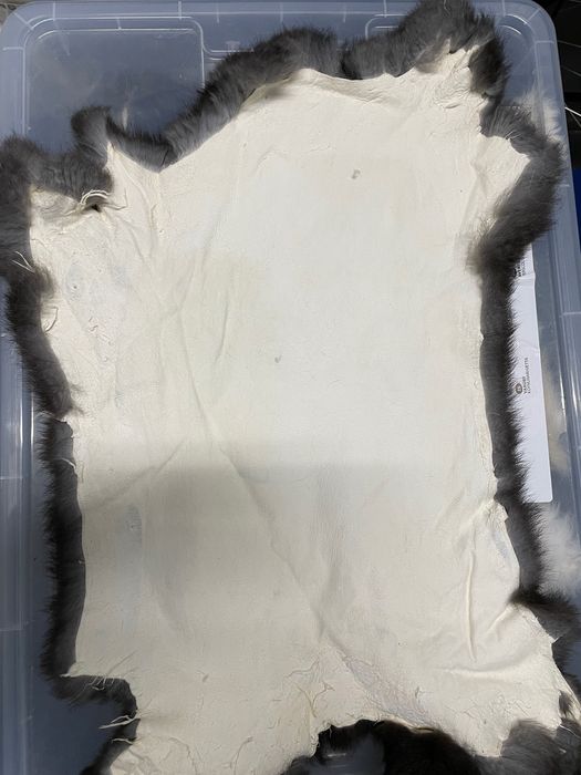 Skóra królik, skóry królicze, futro z królika, Skóry z królika