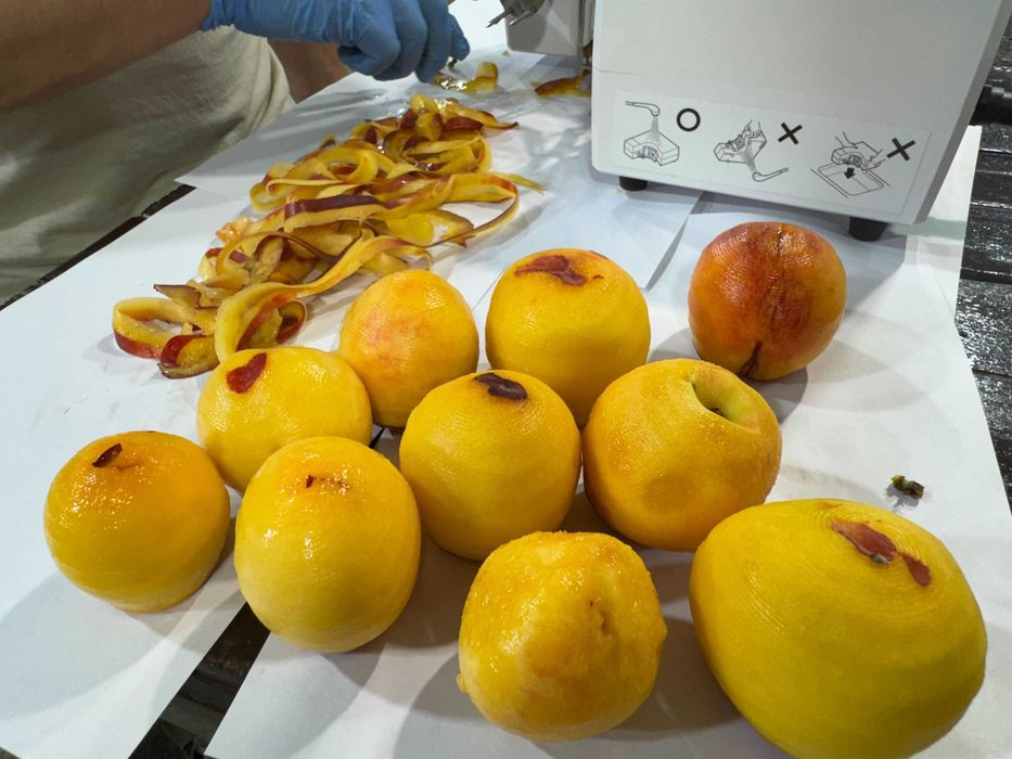 Професійний піллер для фруктів та овочів: яблук, цитрусових, помідорів