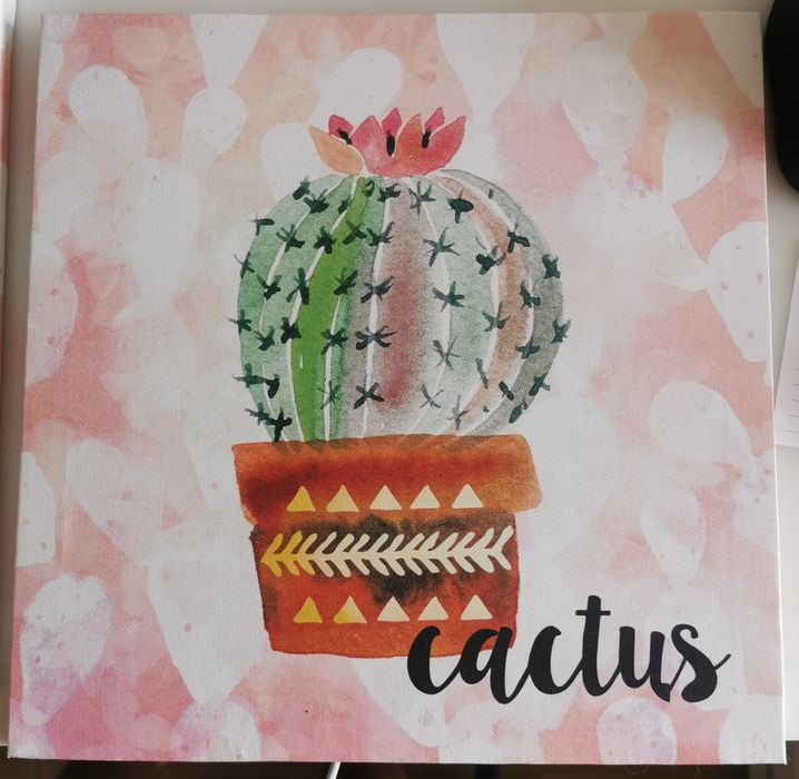 Pack de 2 quadros 28x28 cm64286578077186120