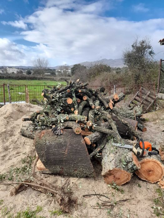 Venda de varias lenhas