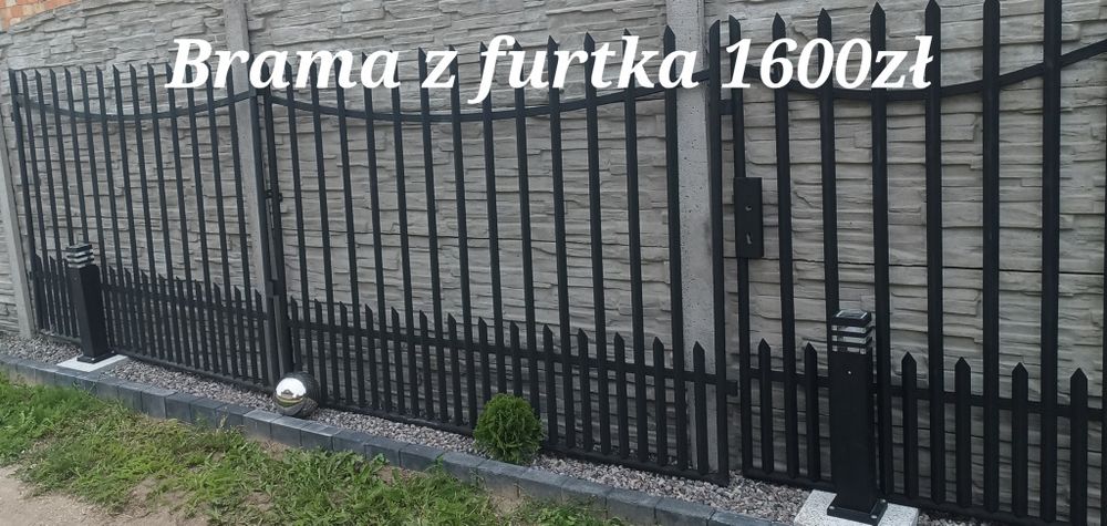 Gruba siatka leśna