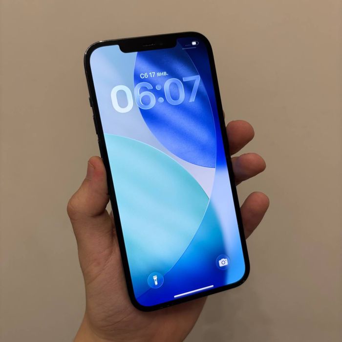 Iphone 12 pro max 256 gb