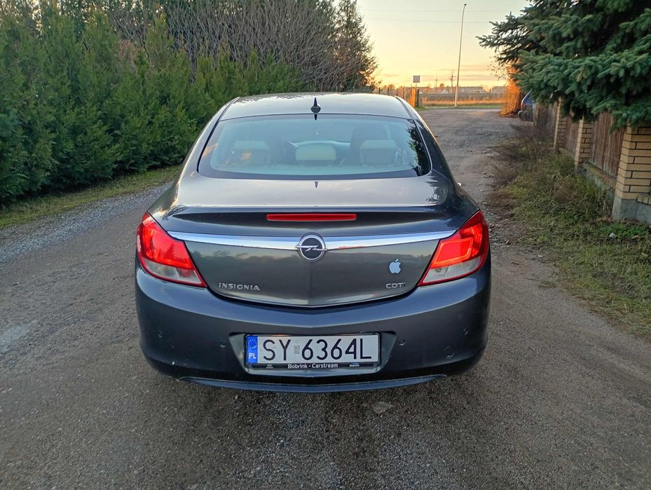 Opel Insignia w dieslu