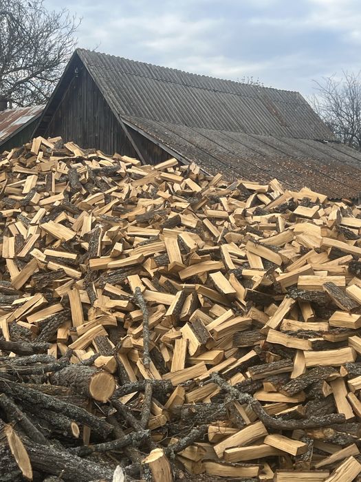 Дрова дуб акація береза віль