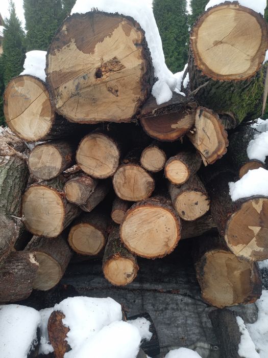 Drewno kominkowe i opałowe liściaste