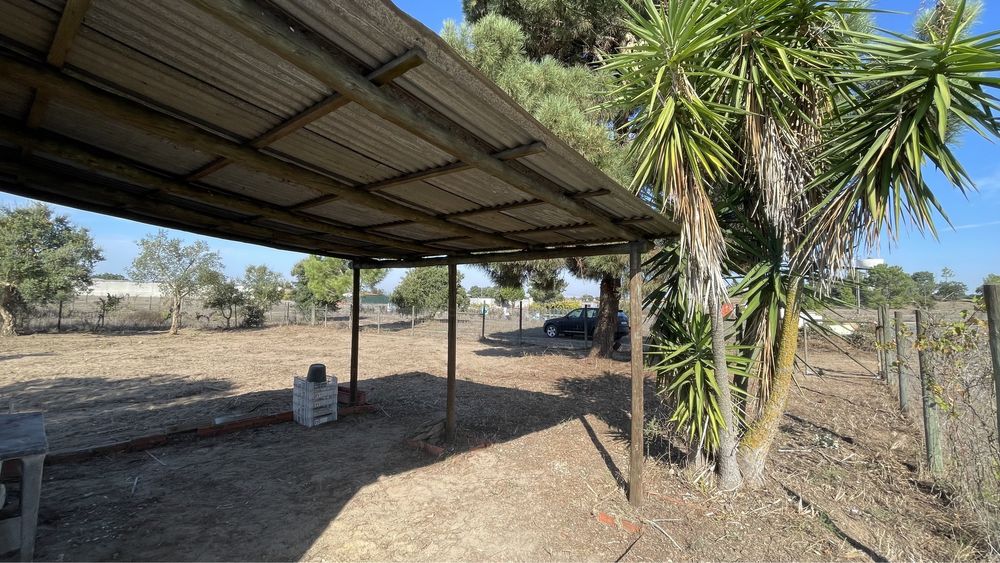 Terreno 600 “m2” Quinta do Anjo, Carrasqueira, vedado. Quinta do Anjo