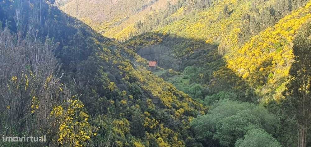 Terreno  para venda