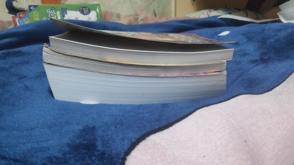 Alguns livros da Coleção as gêmeas