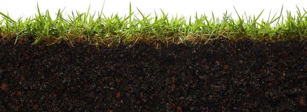 Грунт, чорнозем, глина, суглинок, чернозем