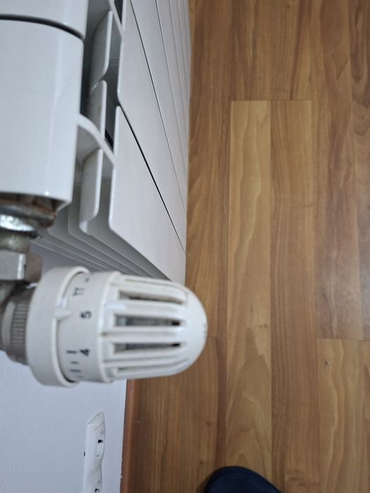 Central Heating Radiators488777076274647042