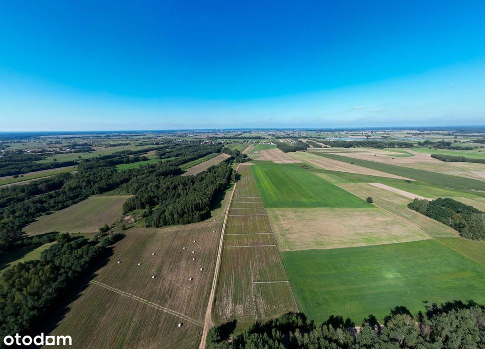 Działki budowlane przy lesie z WZ, 20 minut od Ostrowi Mazowieckiej - Widok 4