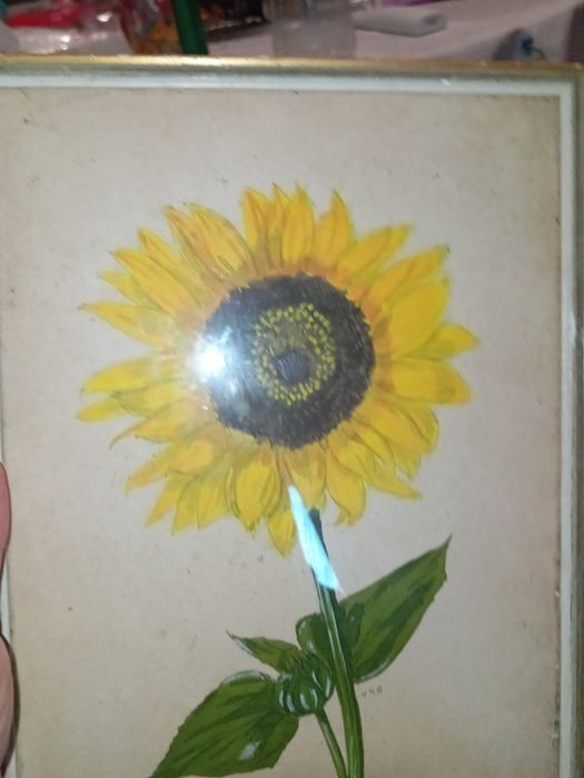 Girassol pintura pequeno assinado