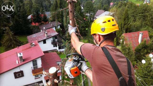 Wycinanie drzew, rozdrabniacz do gałęzi, frezowanie pni, podnośnik