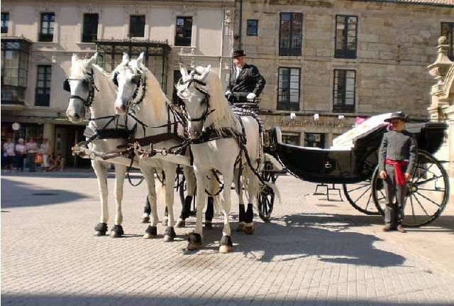 Carriage for Events and Special Occasions64168977918211124