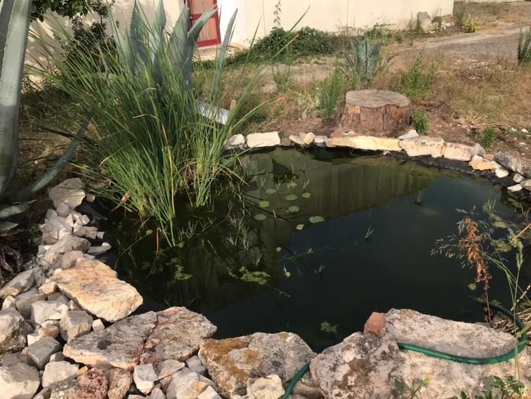 Manutenção de aquarios e lagos, Aveiro/setubal