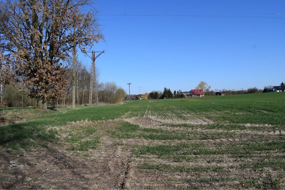Działka z warunkami zabudowy - Widok 2