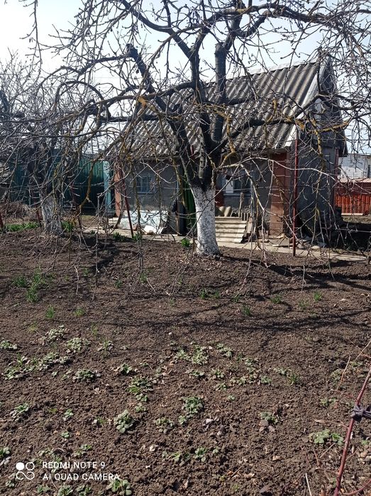Продам дачу в СК Волна