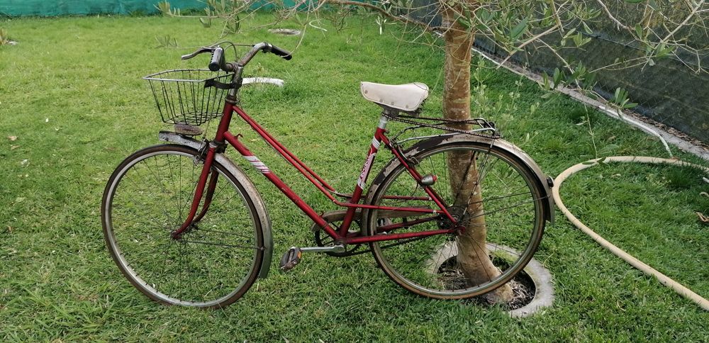 Bicicleta pasteleira