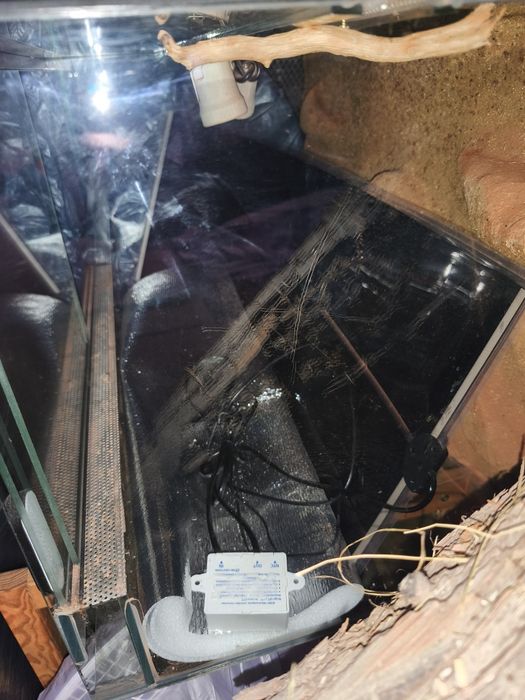 Terrarium dla gekona 40